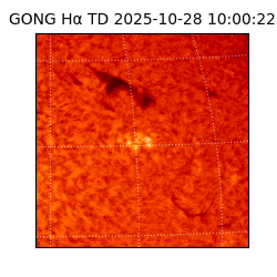 gong - 2025-10-28T10:00:22