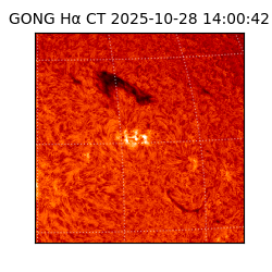 gong - 2025-10-28T14:00:42