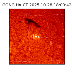 gong - 2025-10-28T18:00:42