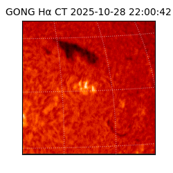 gong - 2025-10-28T22:00:42