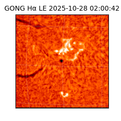 gong - 2025-10-28T02:00:42