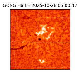 gong - 2025-10-28T05:00:42