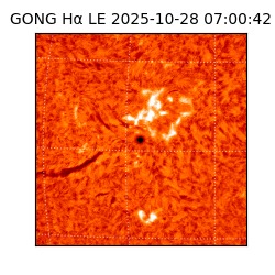 gong - 2025-10-28T07:00:42