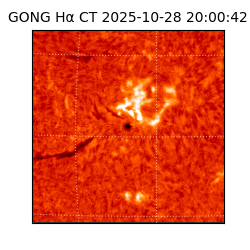 gong - 2025-10-28T20:00:42