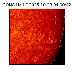 gong - 2025-10-28T04:00:42