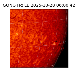 gong - 2025-10-28T06:00:42