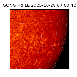 gong - 2025-10-28T07:00:42