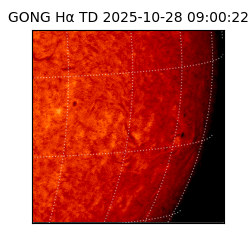 gong - 2025-10-28T09:00:22