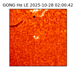 gong - 2025-10-28T02:00:42