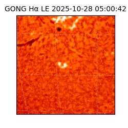 gong - 2025-10-28T05:00:42
