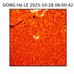 gong - 2025-10-28T06:00:42