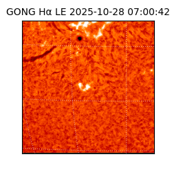 gong - 2025-10-28T07:00:42