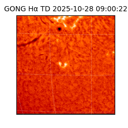 gong - 2025-10-28T09:00:22