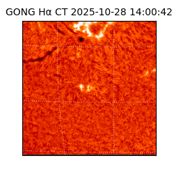 gong - 2025-10-28T14:00:42
