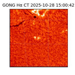 gong - 2025-10-28T15:00:42