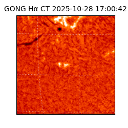 gong - 2025-10-28T17:00:42
