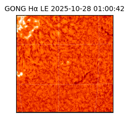 gong - 2025-10-28T01:00:42