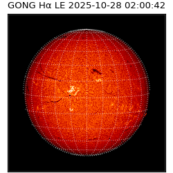 gong - 2025-10-28T02:00:42