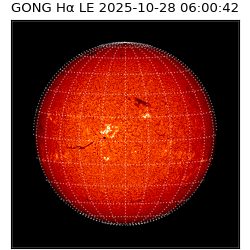 gong - 2025-10-28T06:00:42