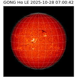 gong - 2025-10-28T07:00:42