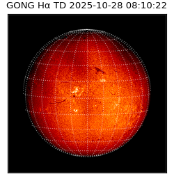 gong - 2025-10-28T08:10:22