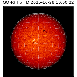 gong - 2025-10-28T10:00:22