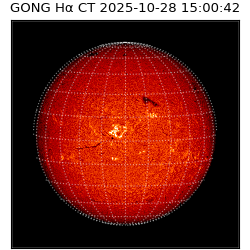 gong - 2025-10-28T15:00:42