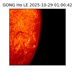 gong - 2025-10-29T01:00:42