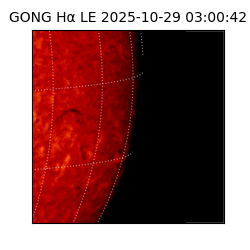 gong - 2025-10-29T03:00:42