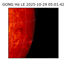 gong - 2025-10-29T05:01:42
