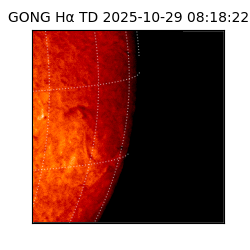 gong - 2025-10-29T08:18:22