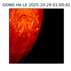 gong - 2025-10-29T01:00:42