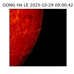 gong - 2025-10-29T09:00:42