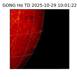 gong - 2025-10-29T10:01:22