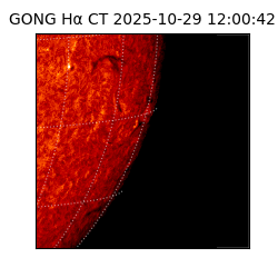 gong - 2025-10-29T12:00:42