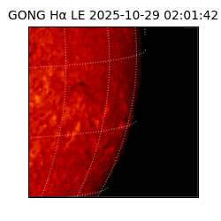 gong - 2025-10-29T02:01:42