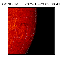 gong - 2025-10-29T09:00:42