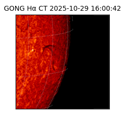 gong - 2025-10-29T16:00:42