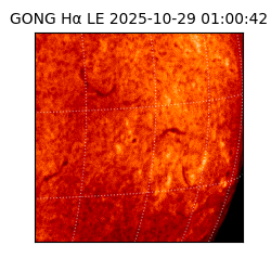 gong - 2025-10-29T01:00:42