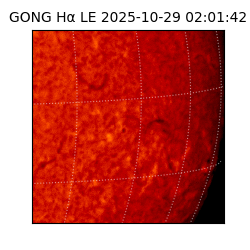 gong - 2025-10-29T02:01:42