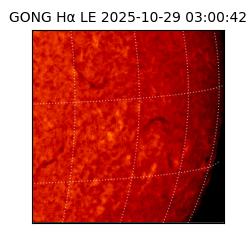 gong - 2025-10-29T03:00:42