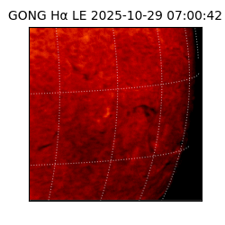 gong - 2025-10-29T07:00:42