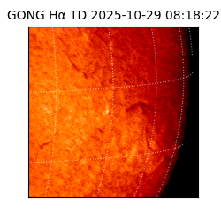 gong - 2025-10-29T08:18:22