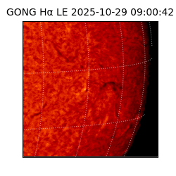 gong - 2025-10-29T09:00:42