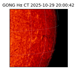 gong - 2025-10-29T20:00:42
