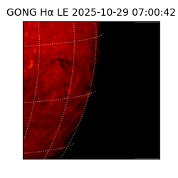 gong - 2025-10-29T07:00:42