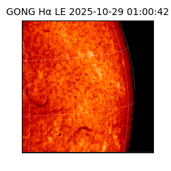 gong - 2025-10-29T01:00:42