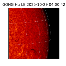 gong - 2025-10-29T04:00:42