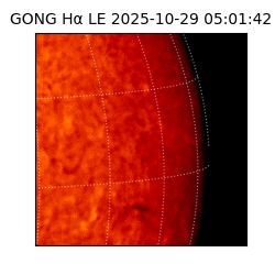 gong - 2025-10-29T05:01:42