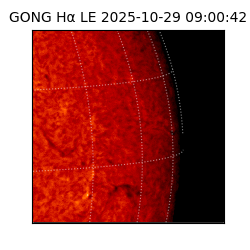 gong - 2025-10-29T09:00:42